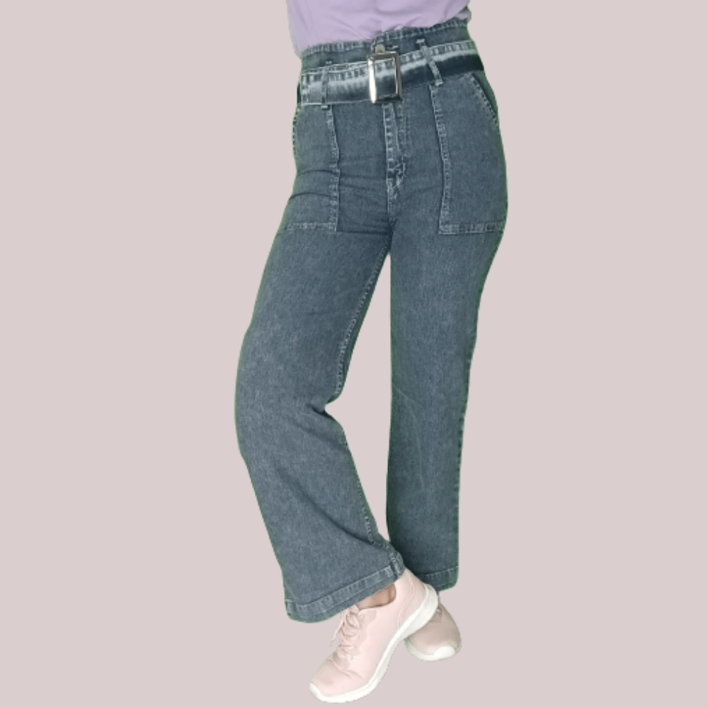 Buy Women Solid/Plain Slim fit Casual Premium Denim Jeans (Grey,26) at  Amazon.in